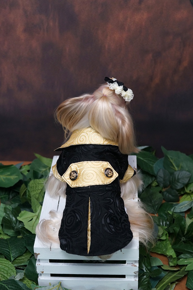 Handmade Dog Clothes Luxurious - Suitsupply Wedding Tuxedo ulasan dan harga