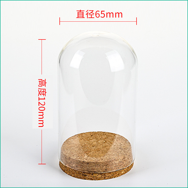 36pcs D65XH120mm Empty Clear G - Wedding Zoo ulasan dan harga