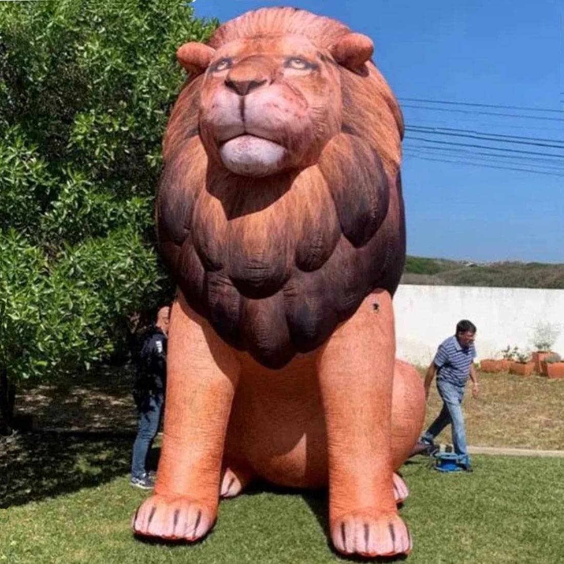 Giant LED Inflatable Lion Real - Wedding Zoo ulasan dan harga